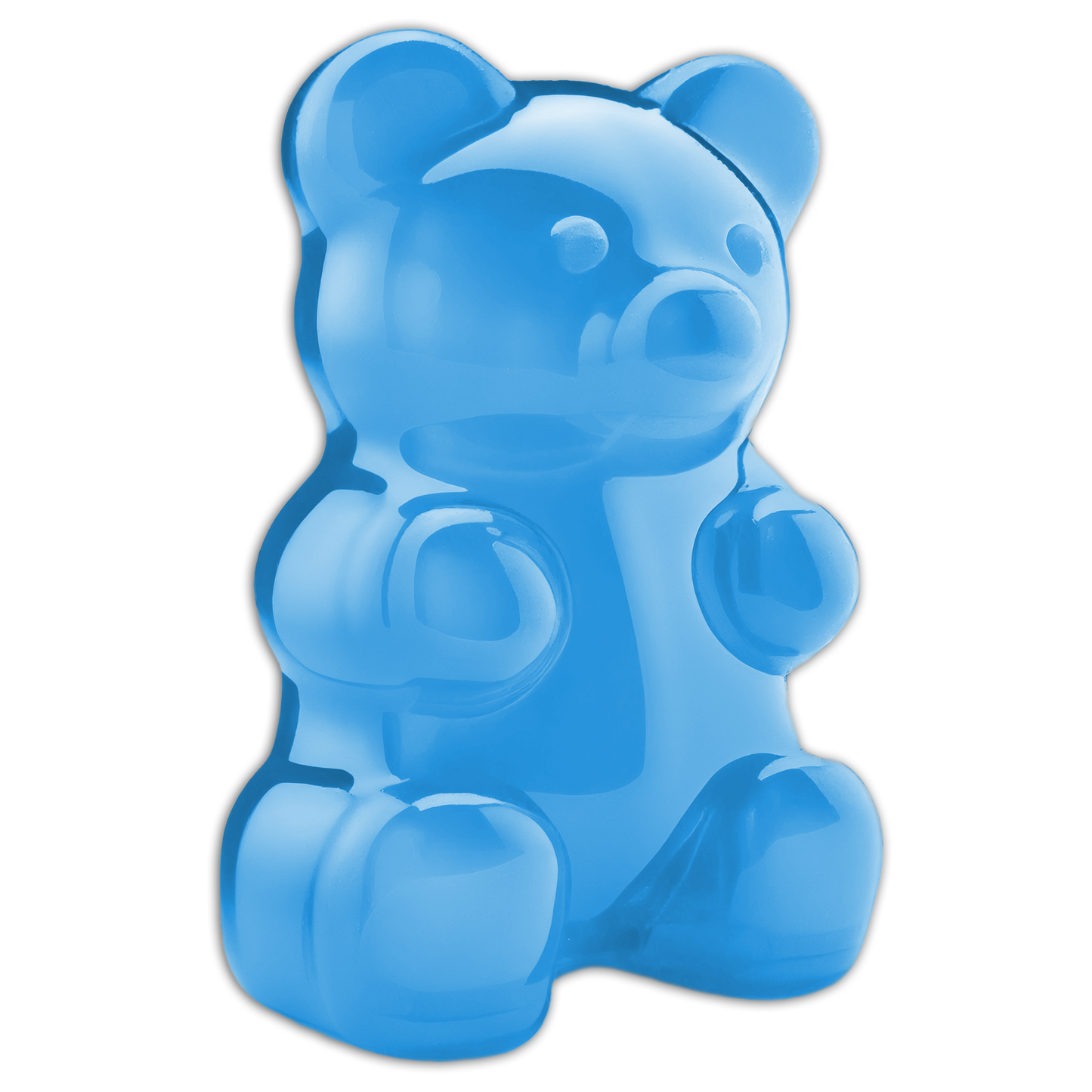 Gummy Bear Wipe and Bag of Candy Carry Case