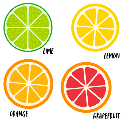 Fruit Slice Mini Mudgee Keychain